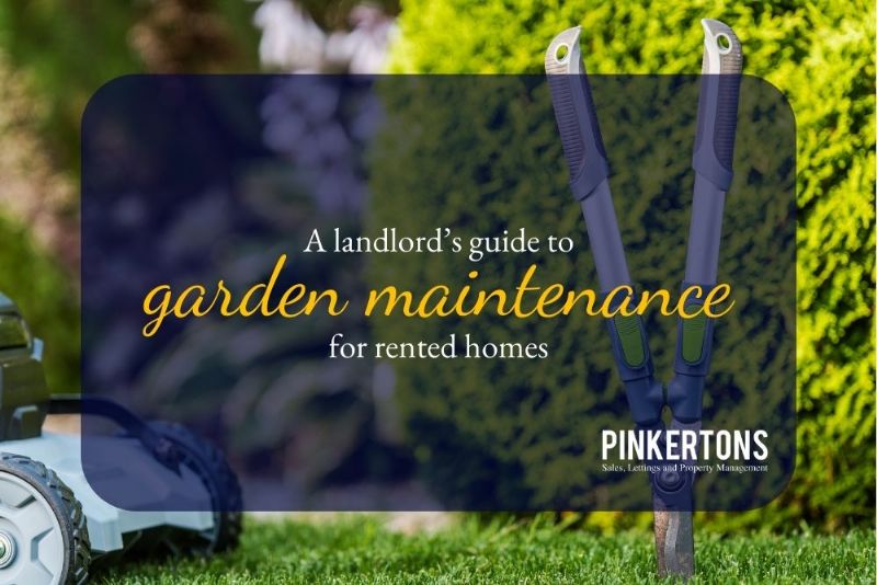 A landlord’s guide to garden maintenance for rented homes